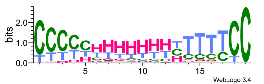 tfe_6.png