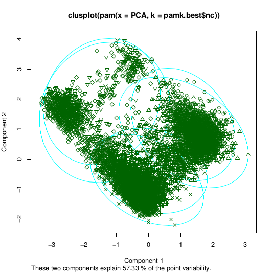 pamk_1st.png