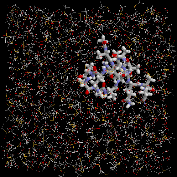 dmso_wat.png